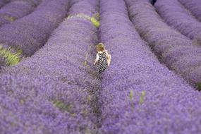 Girl Kid violet flowers