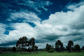 Sky with heavy Clouds over green Trees