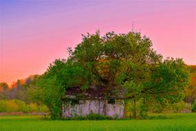 Rustic Shack Run Down