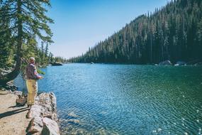 Trees lake man