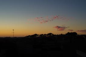 Nature Landscape Town