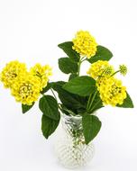 bouquet of yellow flowers in a vase