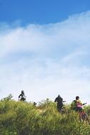 People in green grass blue sky