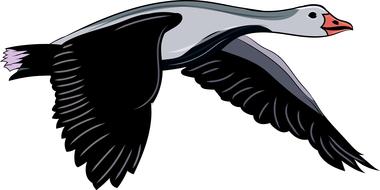 goose flying bird clipart