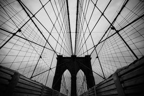 monochrome photo of suspension bridge ropes