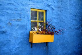 House blue wall