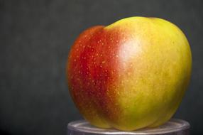 Colorful juicy apple
