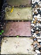 stone path in the garden close-up