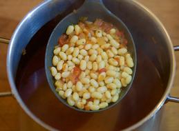 vegetable beans in soup