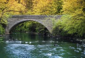 stone bridge over the river in the tourist park