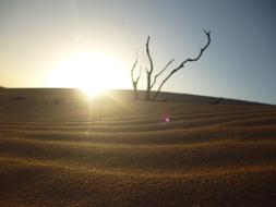 Sand Dry So