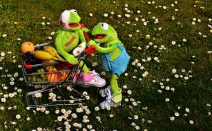 funny green frogs