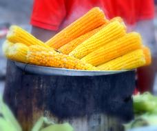 boiled sweet corn