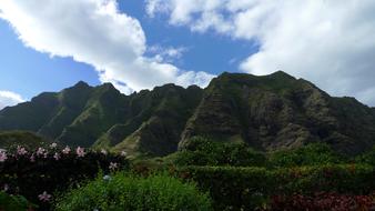 clouds over the mountains are green and flowers