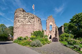 Castle and Three Oak