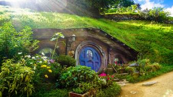 Home Quirky green grass
