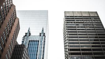 tall mirrored buildings in urban architecture