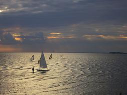 Sails on Sea at Evening