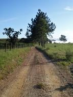 road through the fields