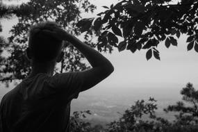 Guy tree Black And white
