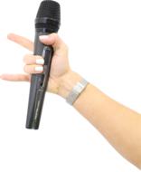 Hold Microphone