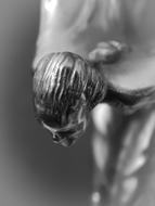 Emily Rolls-Royce Car