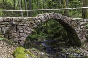 Beautiful stone bridge, above the water, among the green plants