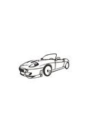 car the vehicle auto wheels horse