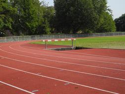 Sport Athletics Steeplechase