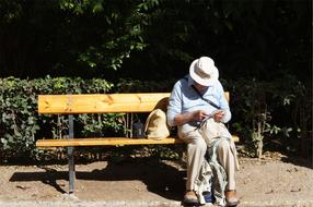 Old Man bench garden