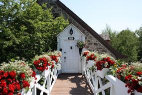 red flowers on a white fence near the entrance to the house