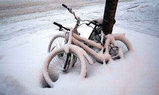 Bikes snow