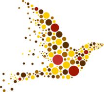 bird abstract design wild nature