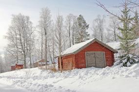 wooden building near trees in the snow