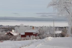 Beautiful Tallberg village, with the trees, in white snow, in the countryside of Sweden, in winter