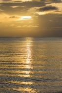 Sunset Sea Gold