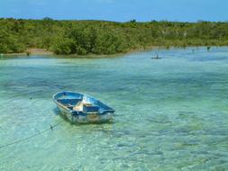 boat in the blue sea