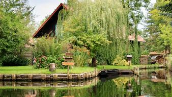 green trees with flowers at the houses