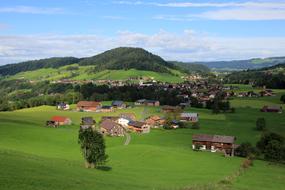 green field with buildings view