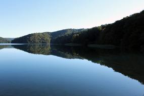 reflection of the green forest in the pond