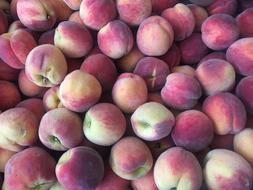 background of juicy peaches
