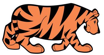 graphic tiger drawing