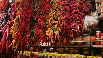 hot peppers at the market