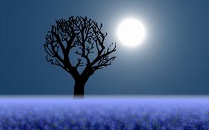 purple field in the fog, lonely tree against the background of the moon