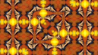 dancing butterfly kaleidoscope colors