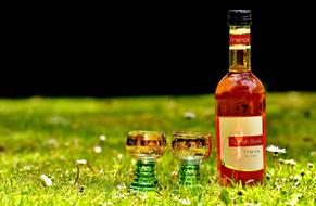 alcoholic beverage on the grass