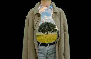 image of a tree on a t-shirt on a mannequin