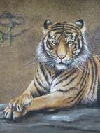 Tiger Wall Art