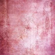 vintage pink textured paper