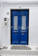 Door House blue